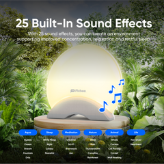 PIXBEE SMART WAKE UP LIGHT WITH ALARM CLOCK